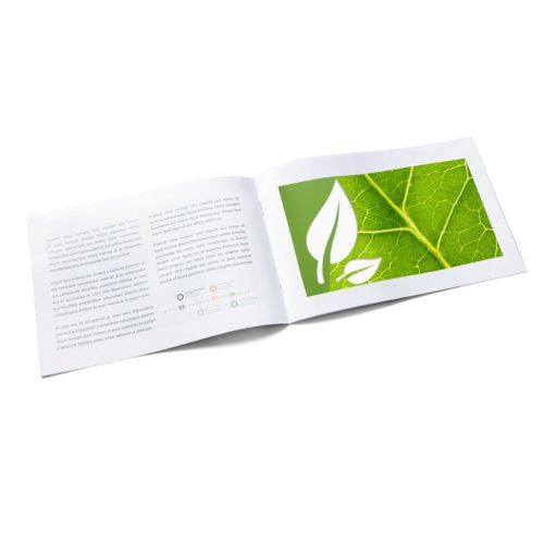 Brochures format paysage en papier éco/naturel, DL 2