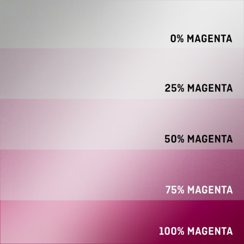 Cartes pliables avec couleurs à effets, format paysage, Maxi 10