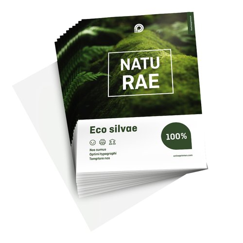 Flyers écologiques & naturels, A5, impression recto seul 2