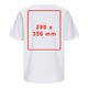 T-shirt blanc pour femmes en matière premium à manches courtes.