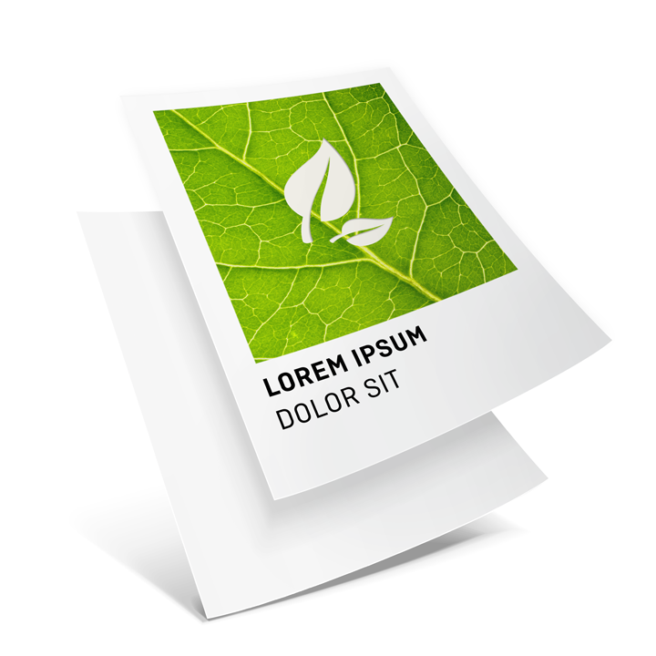 Image Écologique: notre topseller en papier recyclé